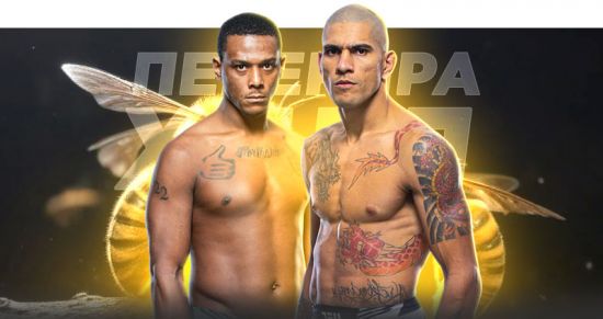 Прогноз на бой Перейра — Хилл: Каменная Рука защитит титул чемпиона UFC?