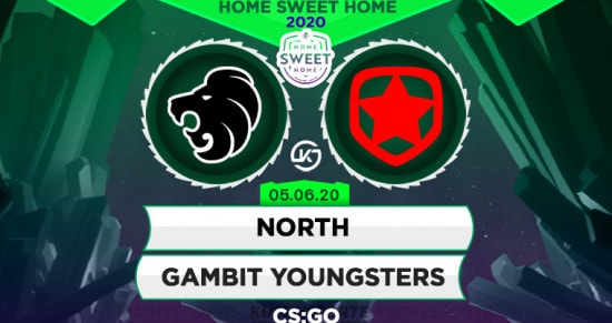 Прогноз на игру North – Gambit Youngsters: «северян» искупают в холодном пруду