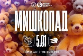 «Мишкопад» в Ростове: добрые сердца объединили спорт и благотворительность