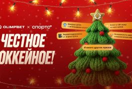Свадьбы, татуировки и безумные челленджи: На что готовы хоккейные болельщики ради победы клуба