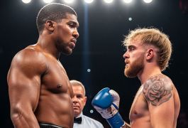 Джошуа о бое с блогером Полом: «Пусть поймут меня — я их понимать не обязан»