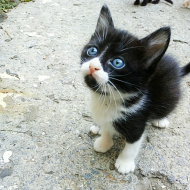Дмитрий