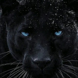 Каныбек Жороев