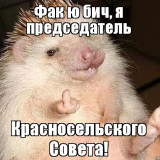Фак