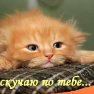 Денис